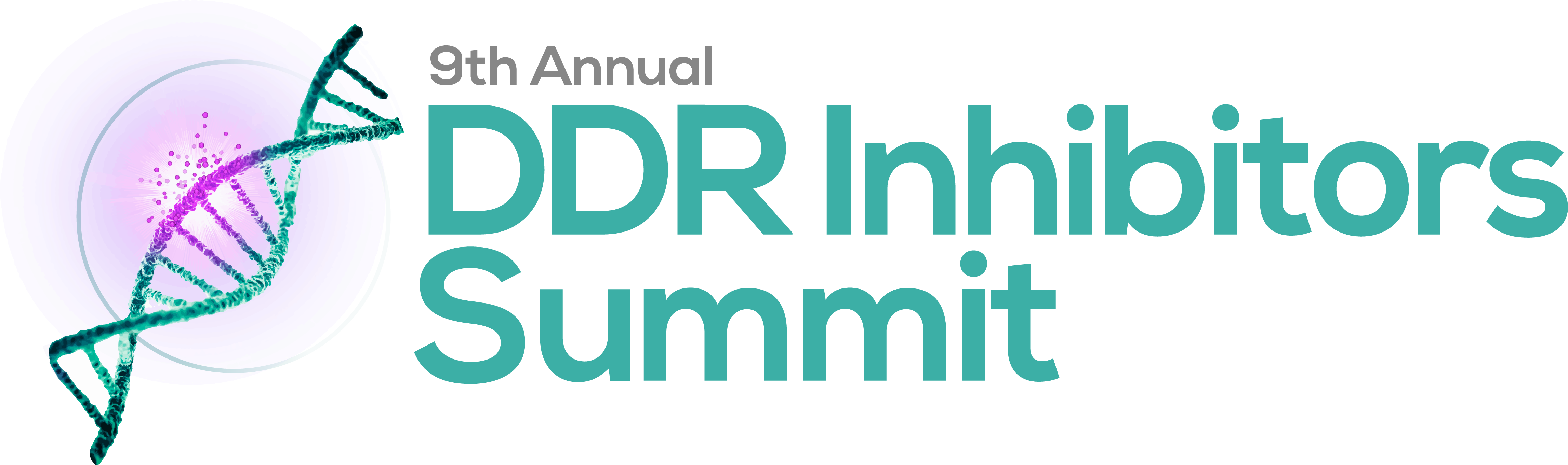 HW250812 63230 - 9th DDR Inhibitors Summit logo